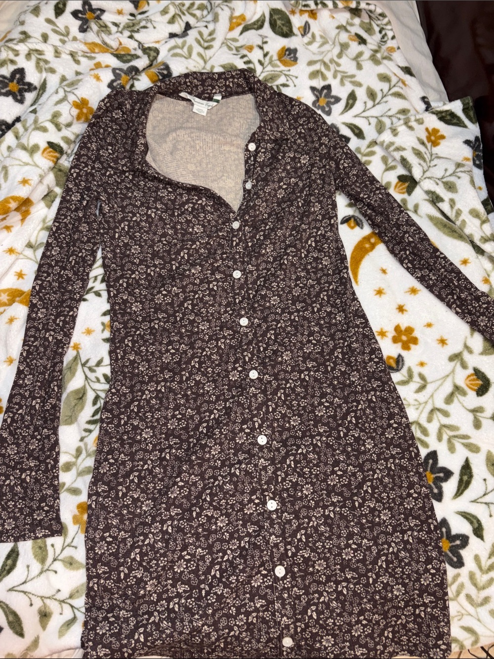 American Eagle Outfitters Brown Floral Long-Sleeve Button Dress